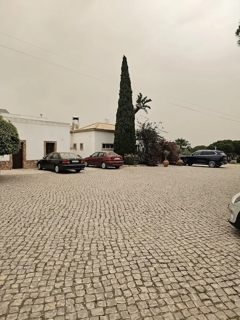 Rich T_Tribulum_Almancil_review