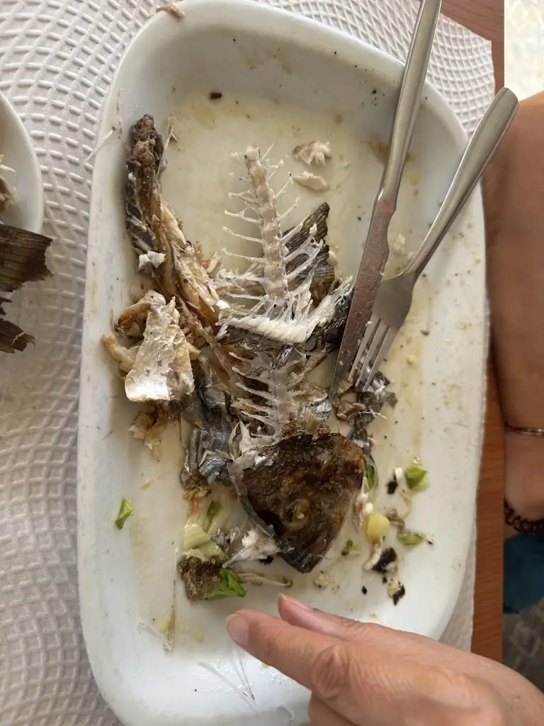 Peter Railton_O Belo Sol_Estói_reseña