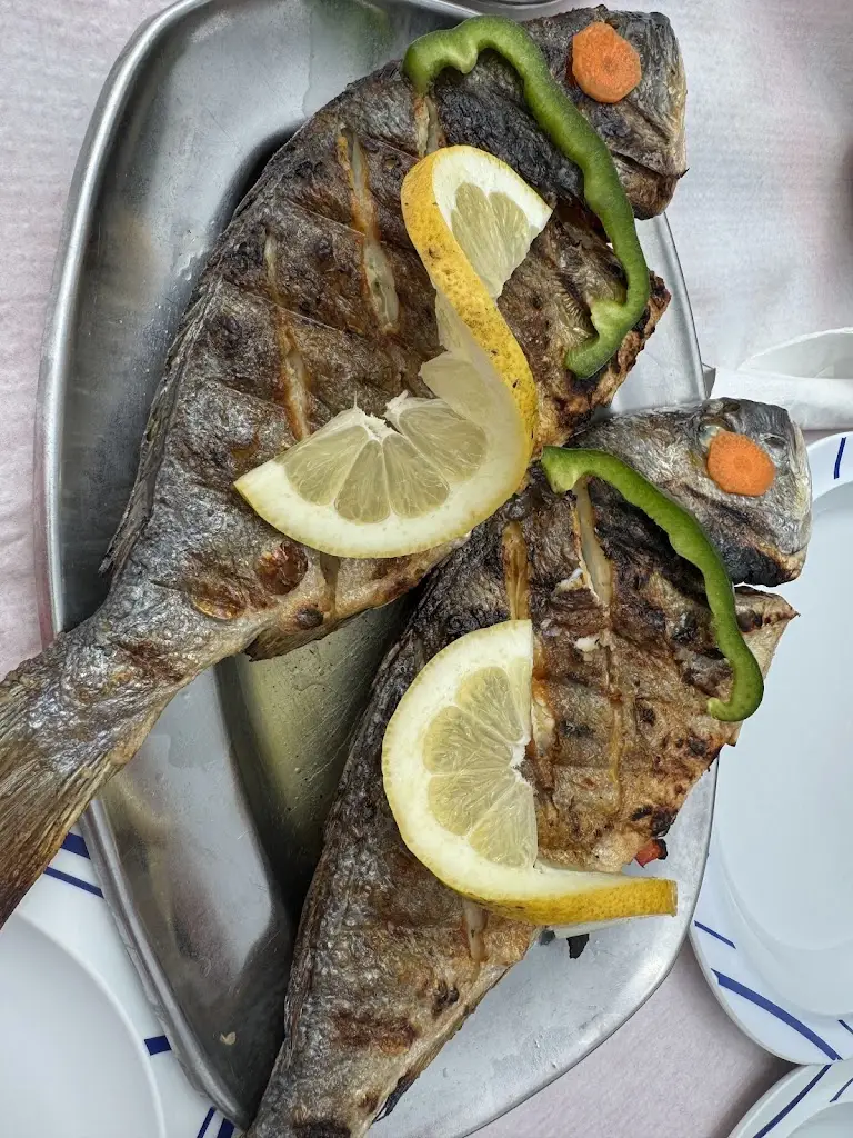 Claudia Mahler_Solar do Pincho_Bensafrim_reseña