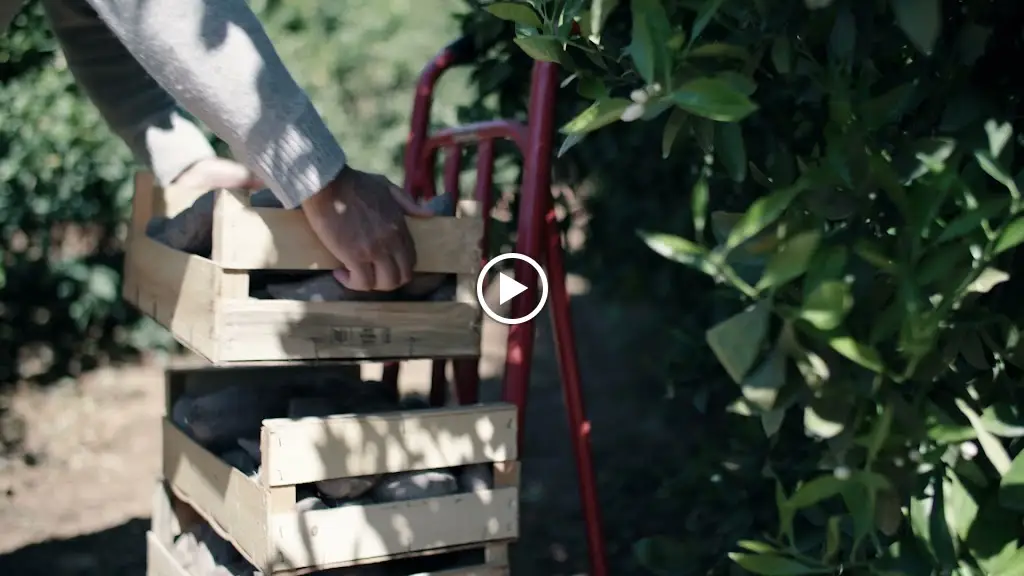 Nah Nah Bah_Bensafrim_slider_image_2