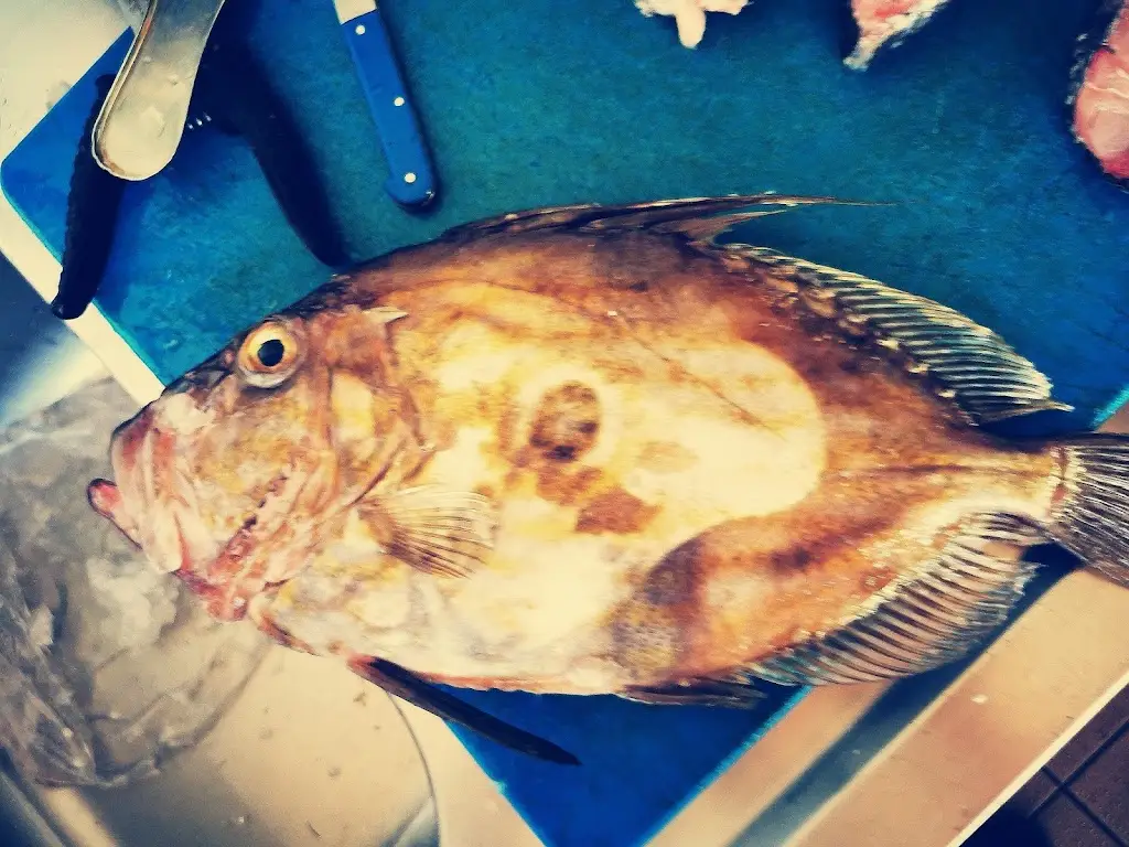 Menu_Restaurante Borda do Cais_Ferragudo_immagine_5