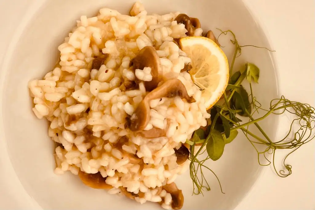 Menu_Birds Nest Restaurant_Boliqueime_immagine_5