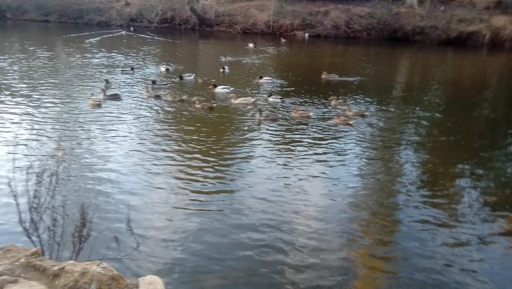 Sérgio Sousa_Tapas 125_Boliqueime_recensione