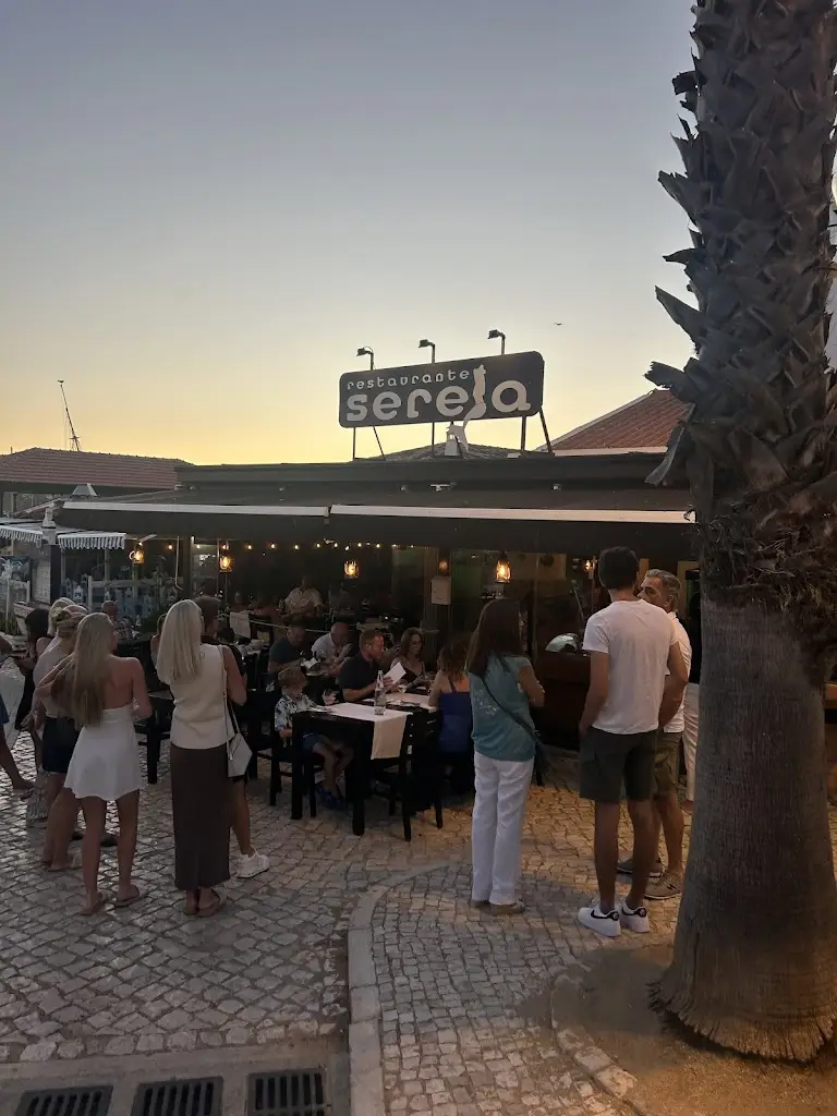 Dave Smith_Sereia_Alvor_review