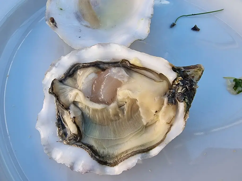 Menu_A Lota de Alvor_Alvor_immagine_8