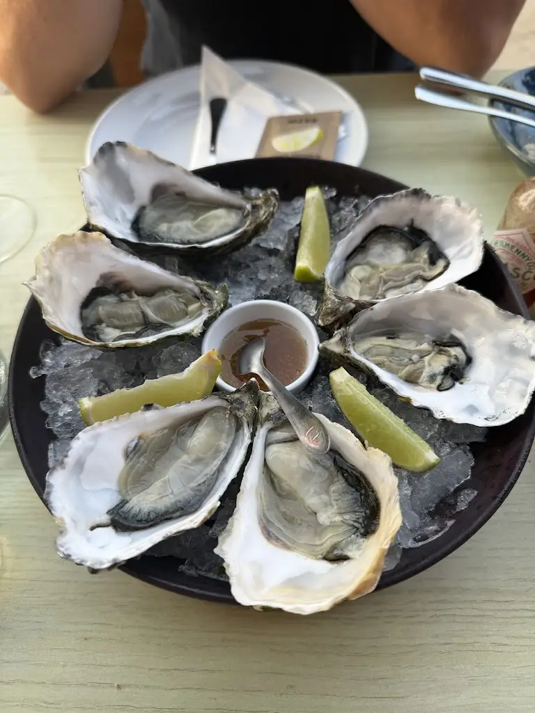 Katie McGuinness_A Lota de Alvor_Alvor_recensione