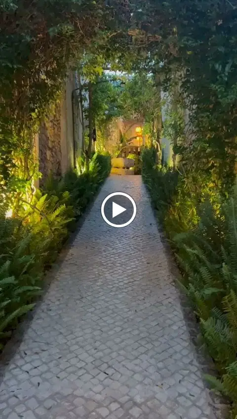 Pull the Bar_Alvor_slider_image_2