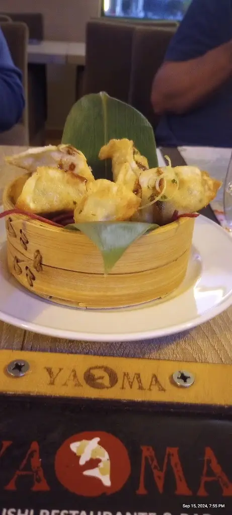 Menu_Yama sushi bar alvor_Alvor_immagine_8