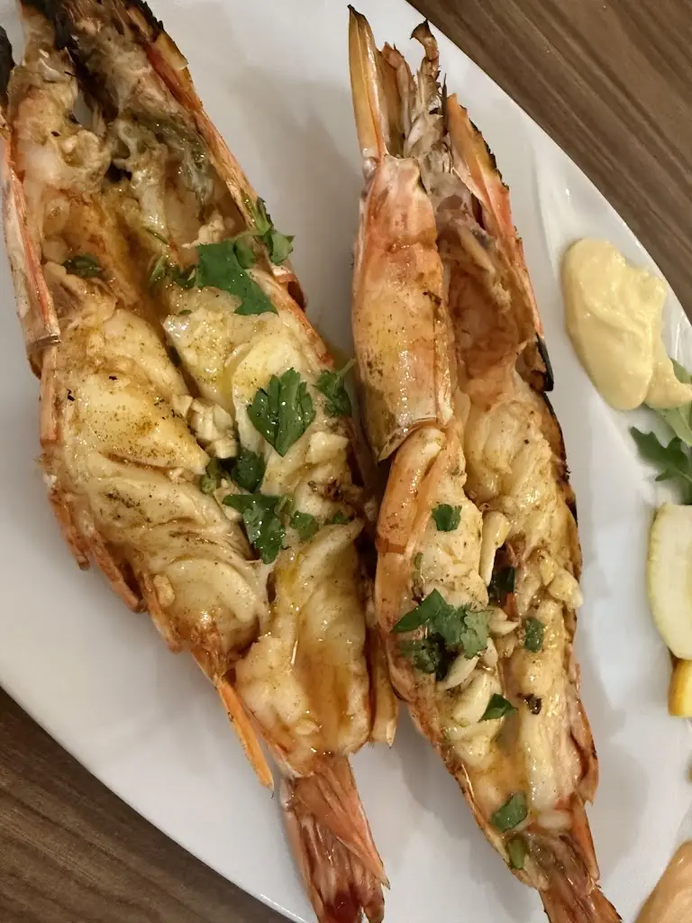 Brooks Lynch_Jota Lita_Carvoeiro_recensione