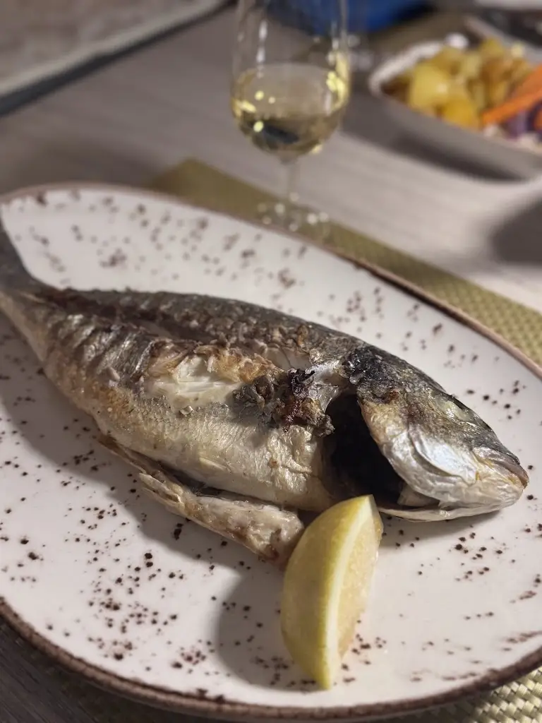 Olga Volkova_Vila Nova_Carvoeiro_recensione