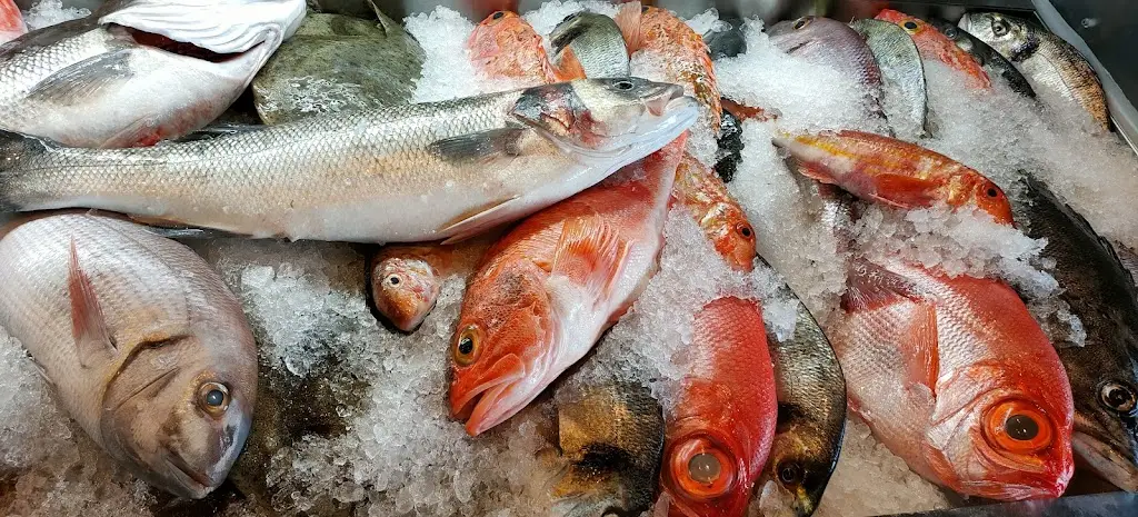 Menu_O Pássaro Azul_Olhos de Água_immagine_5