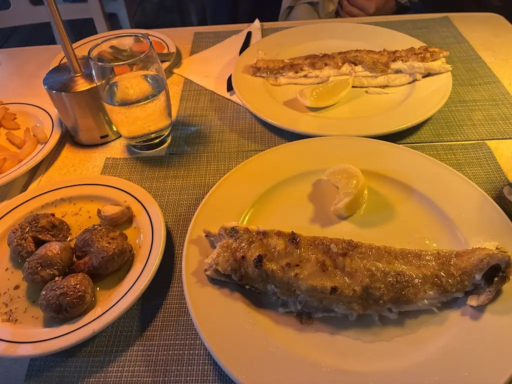 Schmidt_O Pássaro Azul_Olhos de Água_recensione