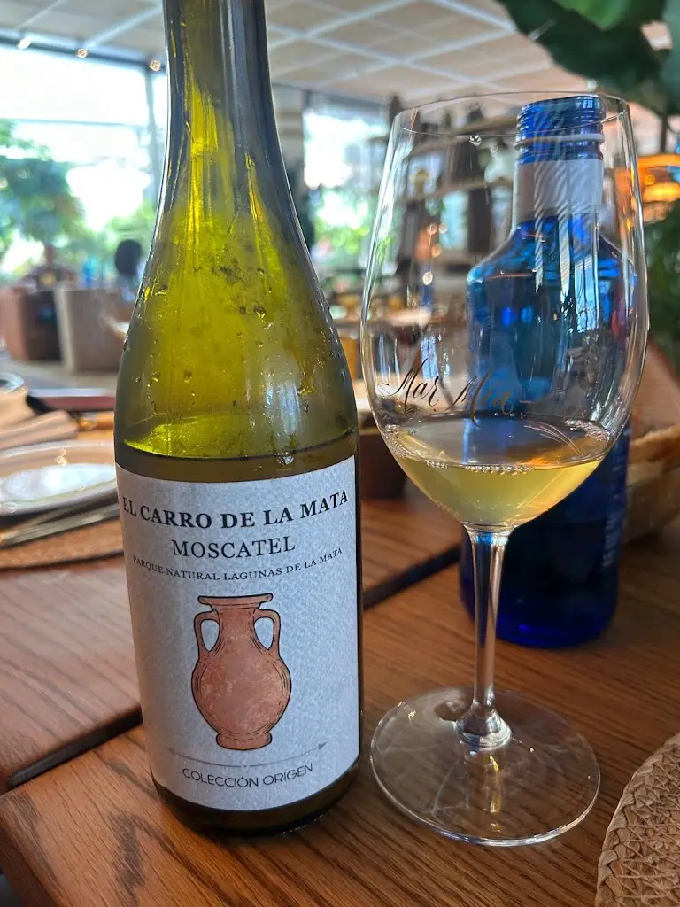 Menu_O Bar Bara_Santa Bárbara_immagine_6