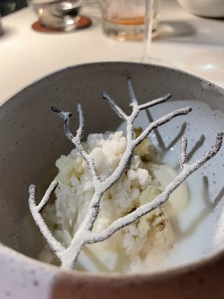 Tímea Bikkes_Restaurante Alameda_Faro_recensione