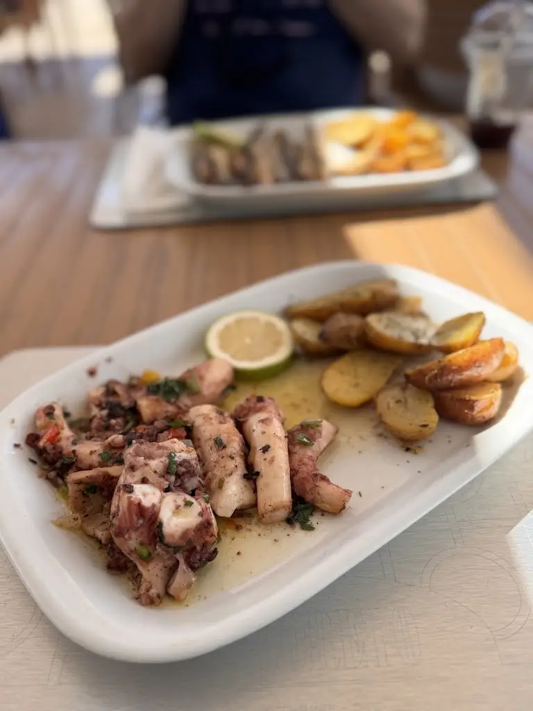 Little Bailey_O Coreto_Faro_avis