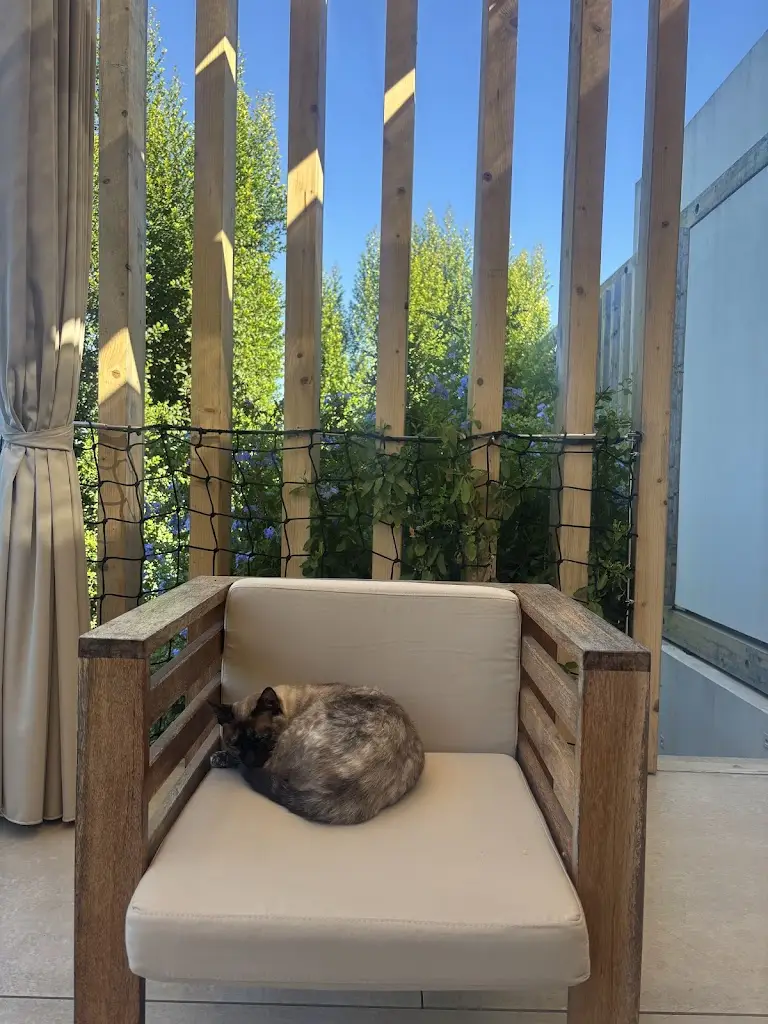 Vlad Luca_Laranjal Farm House_Fuzeta_recensione