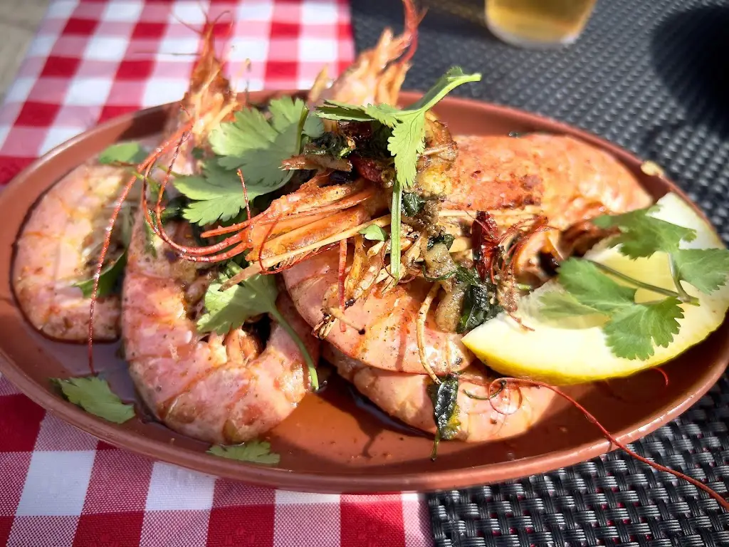 Warren Sanders_Tianica Fuzeta_Fuzeta_recensione