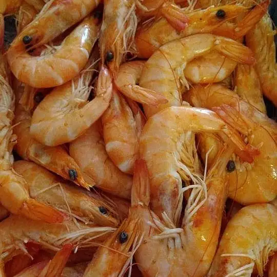 Menu_O Morgadinho_São Bartolomeu_image_6