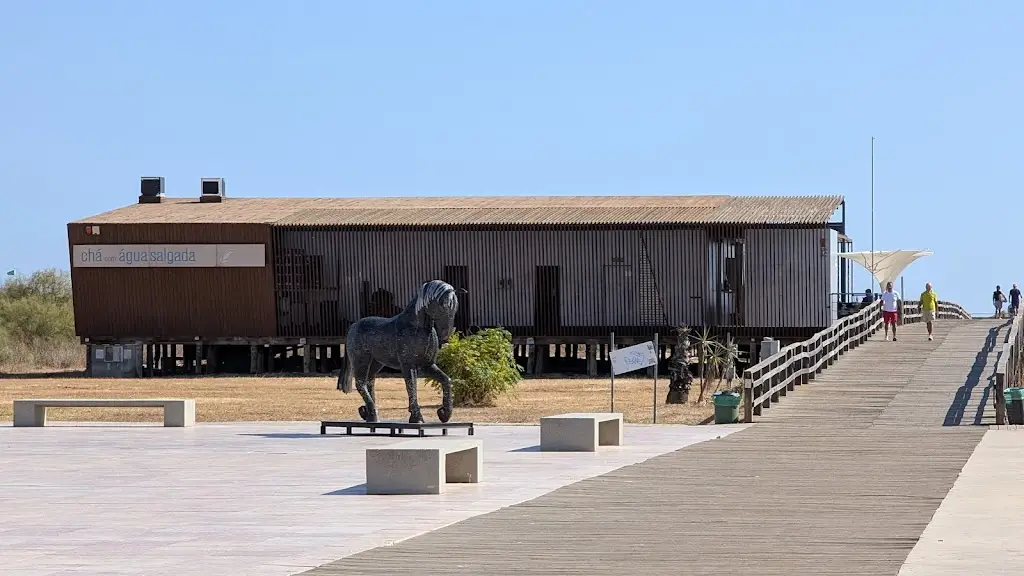 Bob Jones_Chá com Água Salgada_Manta Rota_recensione