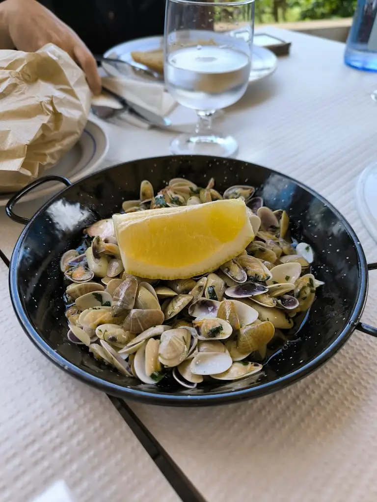 Michael C_Casa Velha_Manta Rota_recensione