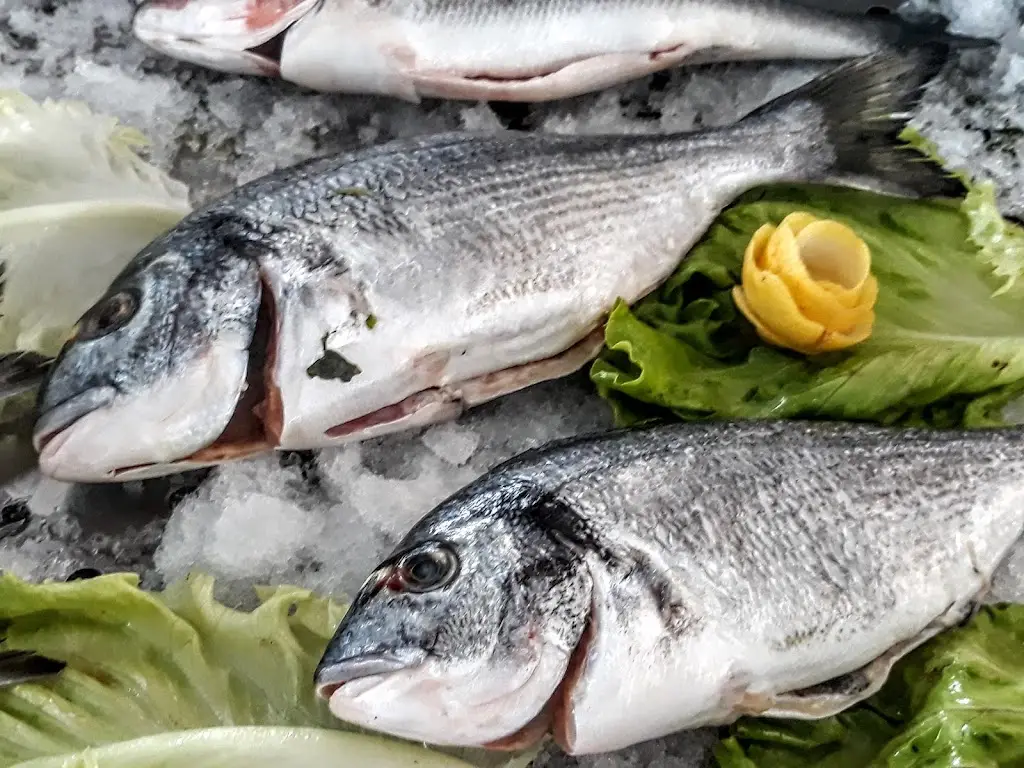 Menu_Rios Bar_Manta Rota_immagine_6