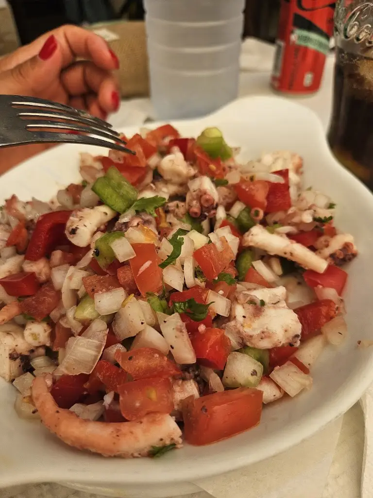 Diogo Branco_Jasmin_Manta Rota_reseña