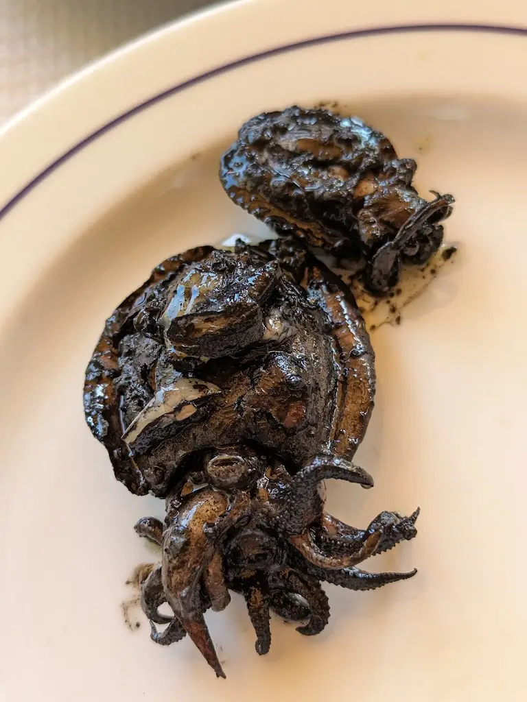 Alexandr Rosca_O Primo dos Caracóis_Moncarapacho_review