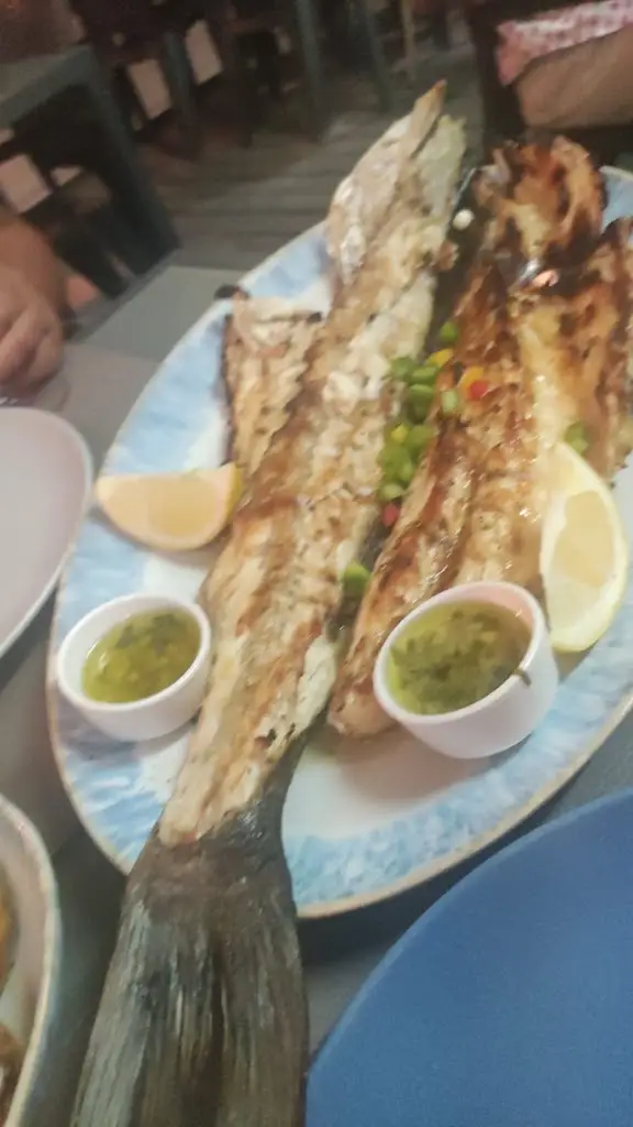 Carlos oliveira_Ponto de Encontro_Tavira_recensione