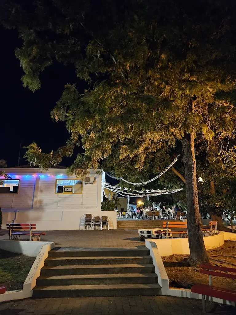 Diego Manfred_Le Salto_Tavira_recensione