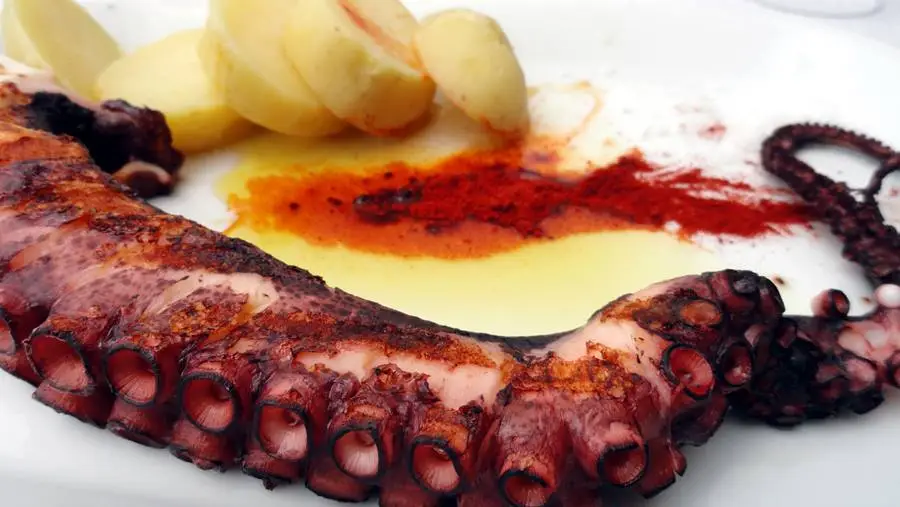 A Casa_Santa Luzia_slider_image_3