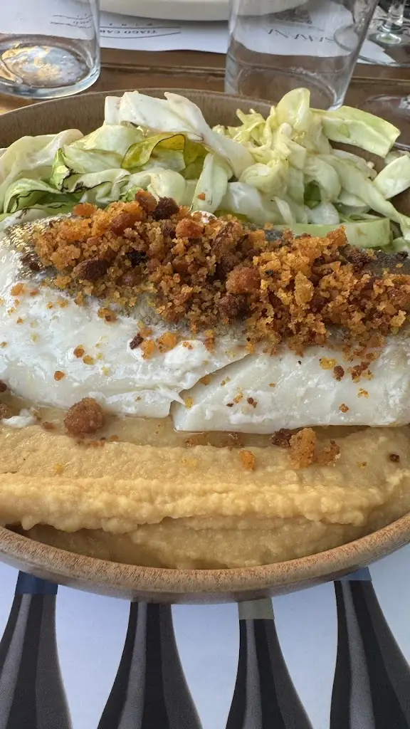 Nuno Pinto_Sakana_Santa Luzia_review