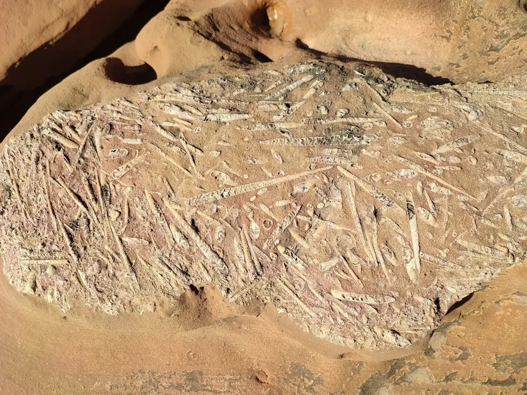 Menu_Fortaleza da Luz_Senhora da Luz_image_8