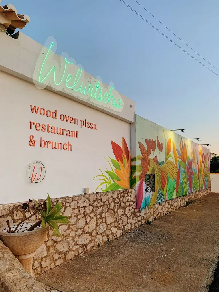 WELWITSCHIA pizza, restaurant & brunch_Senhora da Luz_slider_image_1