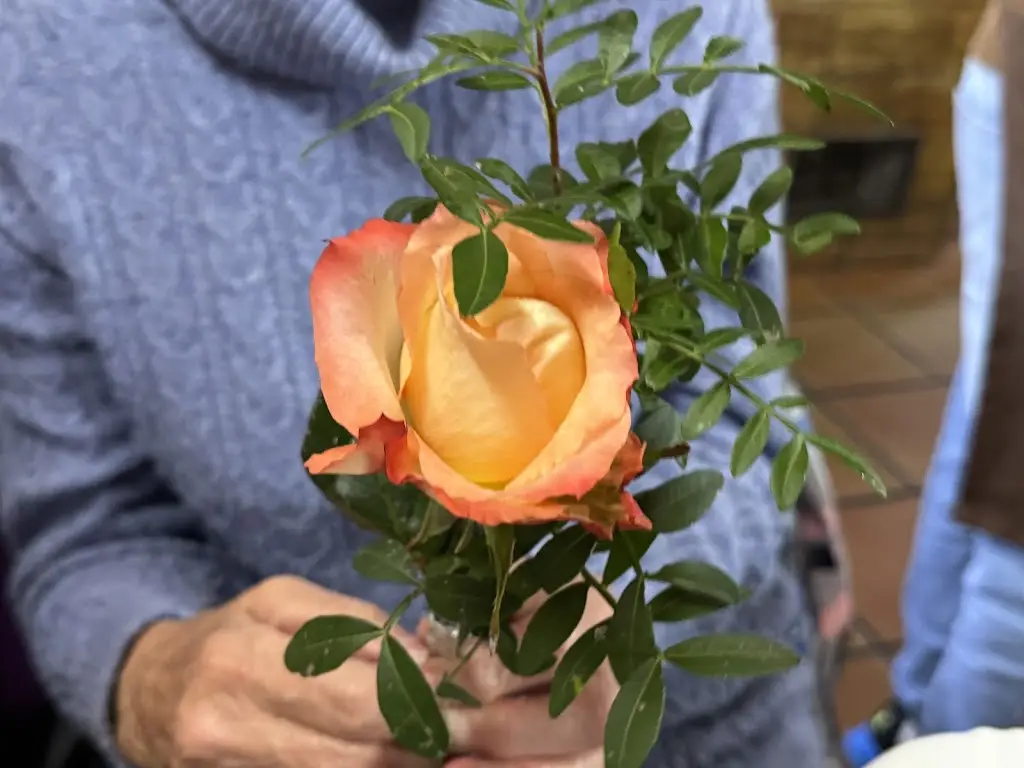 mark shreeve_Restaurante O Forno_Senhora da Luz_recensione