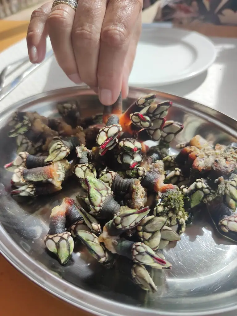 Menu_Adega dos Arcos_Sagres_immagine_9