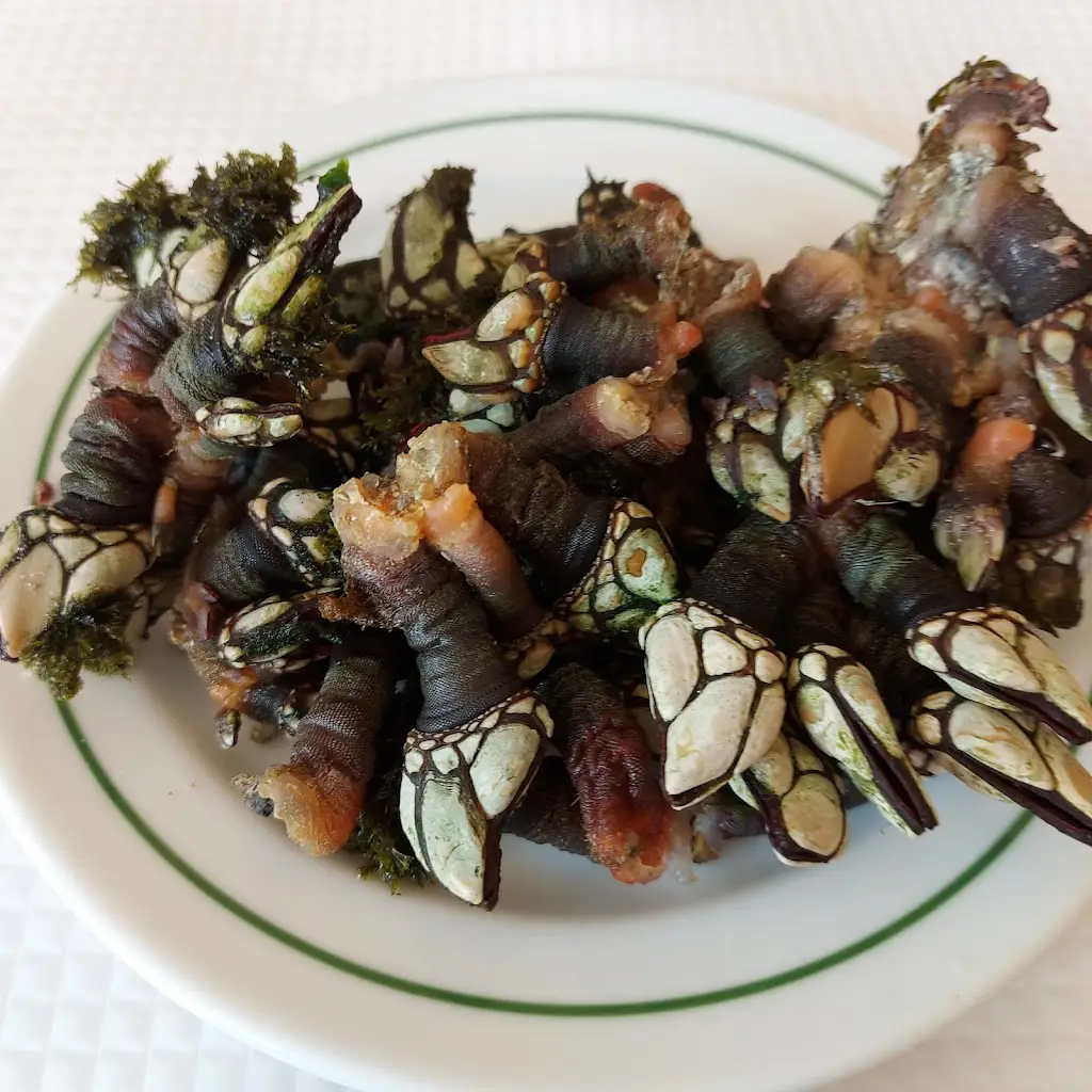 Solar do Perceve_Vila do Bispo_slider_image_3