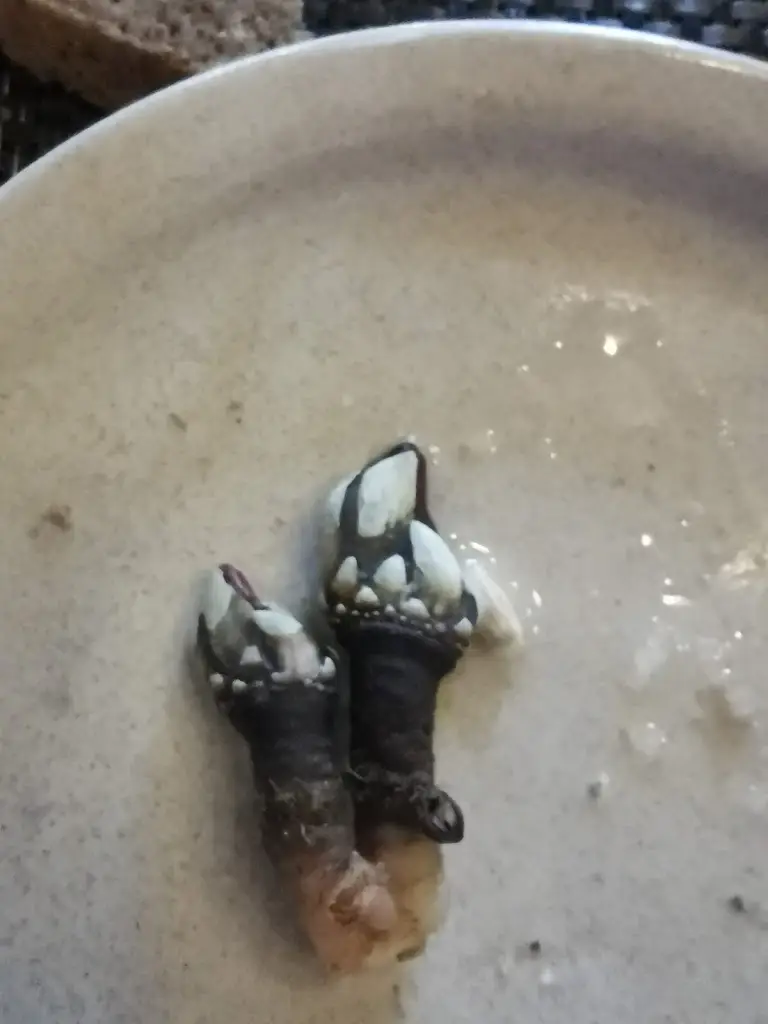 Menu_Eira do Mel_Vila do Bispo_immagine_8