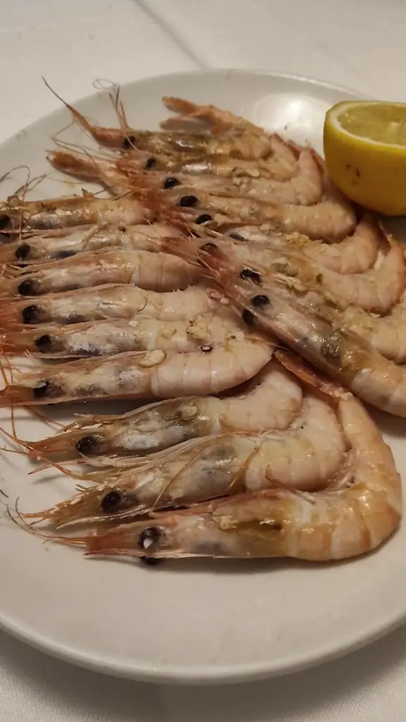 Timo Honkanen_A Tasca do Careca_Vila do Bispo_review