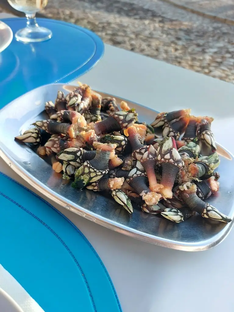 Menu_Restaurante Convívio_Vila do Bispo_immagine_4