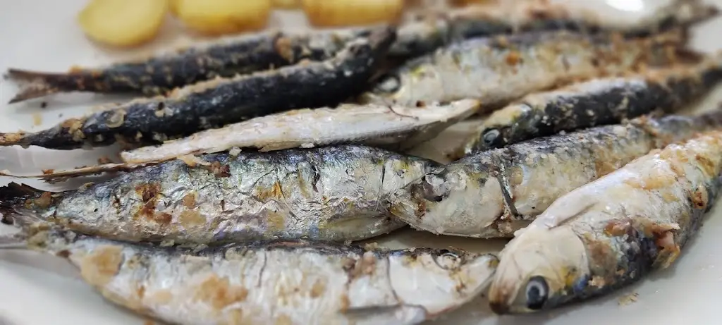 Menu_Restaurante Novo Oceano_Olhão_immagine_6