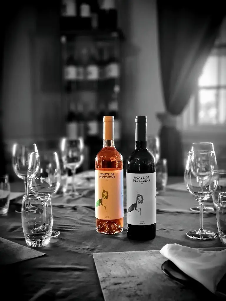 Menu_Sabores do Campo_São Brás de Alportel_imagen_7