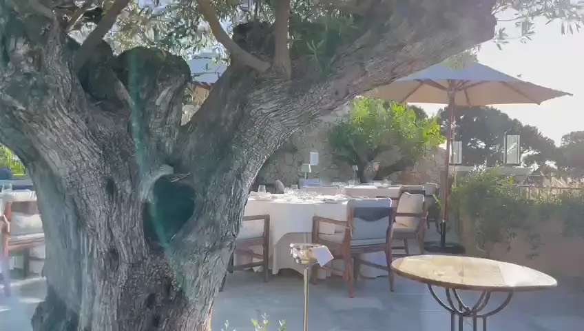 Restaurante Casa Velha_Aldeia Velha_slider_image_2