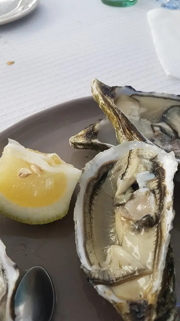 Menu_Taberna Moleiro_Vila Real de Santo António_image_7