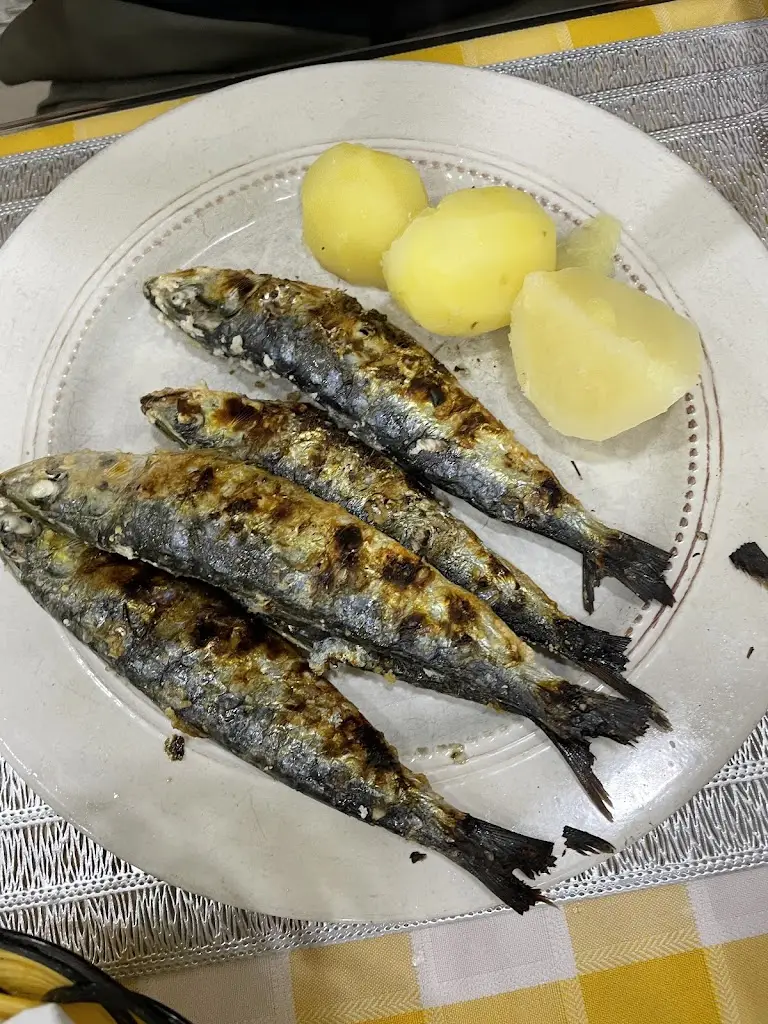 Matteo Piovani_Tendinha do Marquês_Alhandra_recensione