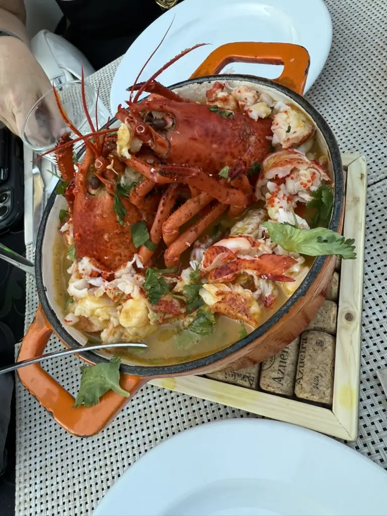 Michael Heil_Petit d’Algés_Algés_recensione