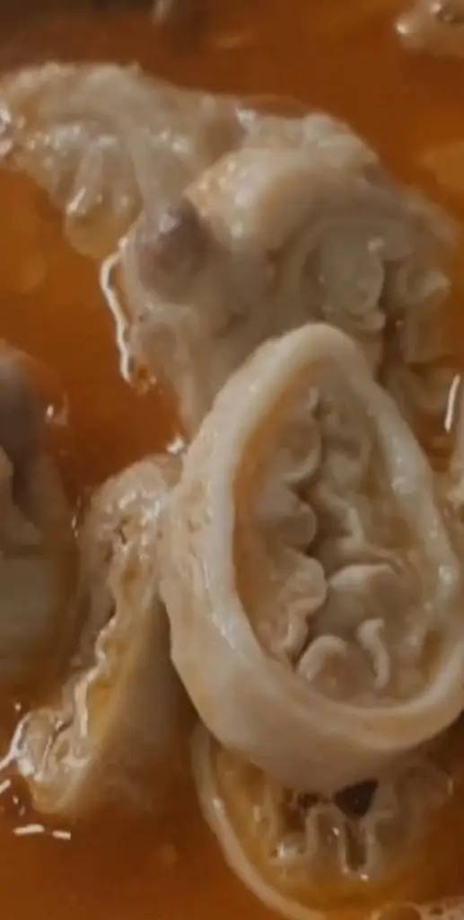 Asa Branca_Agualva_slider_image_2