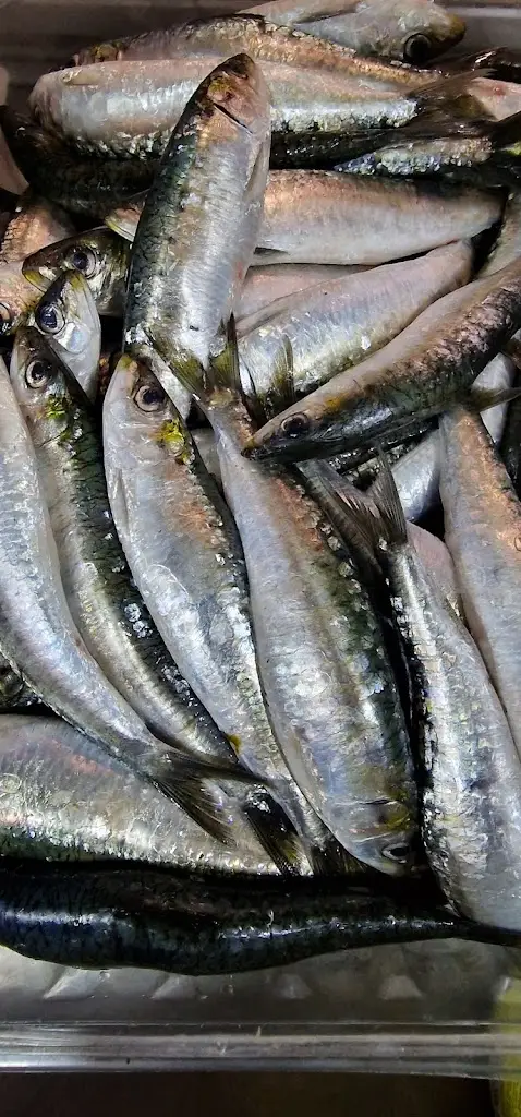 Menu_Tasca do Miguel_Alto do Pina_immagine_8