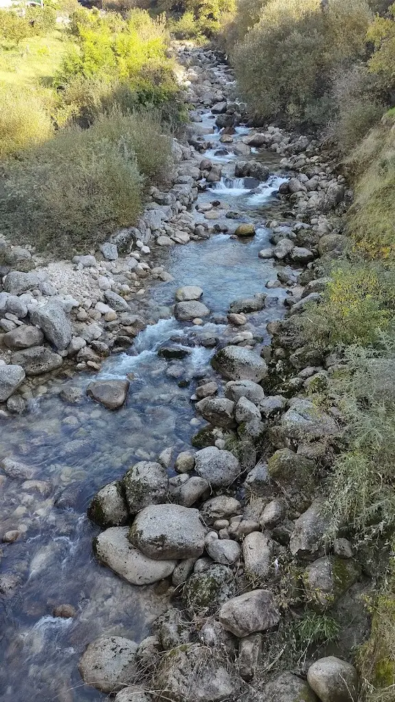 Tahyana Schenkel Gomes_Alvoco da Serra_Alvoco da Serra_reseña