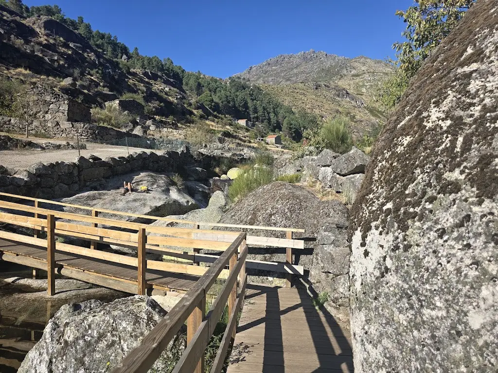 Lorraine Leslie_O Vicente_Alvoco da Serra_recensione