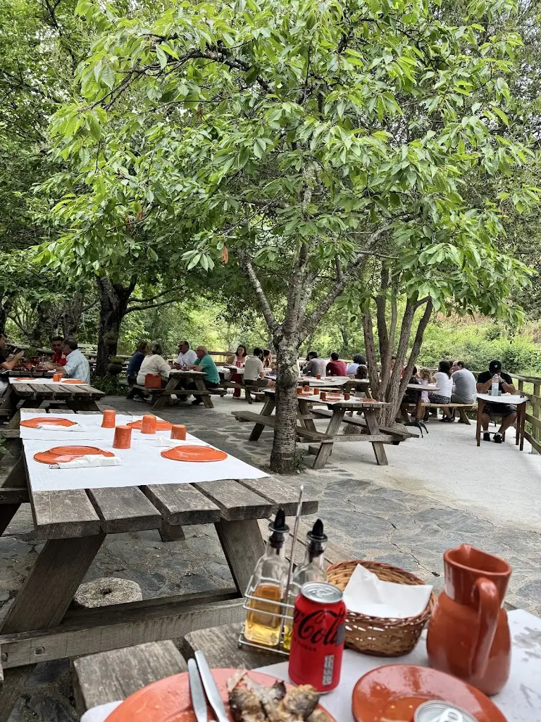 Truticultura do Aguincho_Alvoco da Serra_slider_image_1